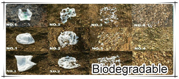 1.Friendly Environmental plastic additive,2.Ecology Protection,3.biodegradable material biodegradable plastic additive,4.environmental friendly plastics,5.green plastics