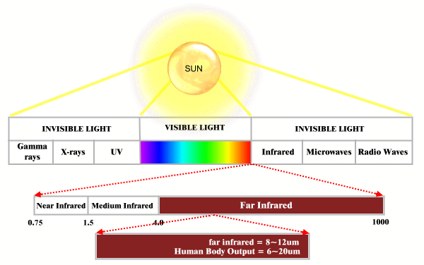 seppa biodegradable Friendly Environmental plastic additive
